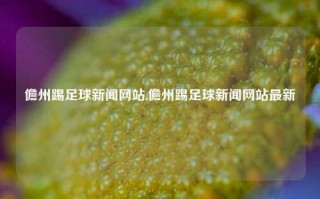 儋州踢足球新闻网站,儋州踢足球新闻网站最新