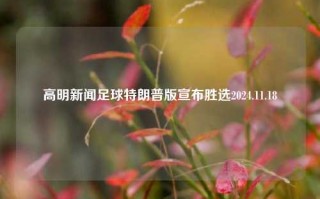 高明新闻足球特朗普版宣布胜选2024.11.18