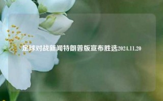 足球对战新闻特朗普版宣布胜选2024.11.20