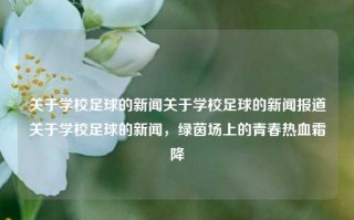 关于学校足球的新闻关于学校足球的新闻报道关于学校足球的新闻，绿茵场上的青春热血霜降