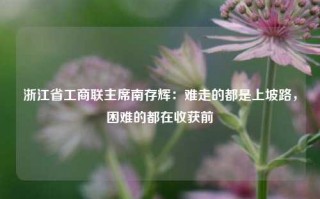 浙江省工商联主席南存辉：难走的都是上坡路，困难的都在收获前