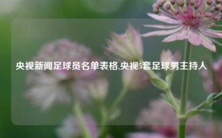 央视新闻足球员名单表格,央视5套足球男主持人