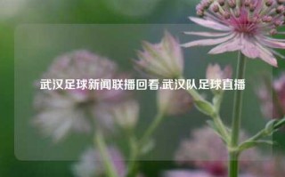 武汉足球新闻联播回看,武汉队足球直播