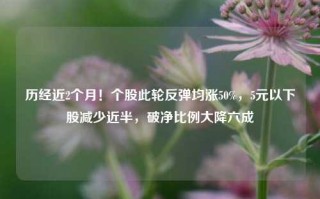 历经近2个月！个股此轮反弹均涨50%，5元以下股减少近半，破净比例大降六成