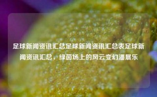 足球新闻资讯汇总足球新闻资讯汇总表足球新闻资讯汇总，绿茵场上的风云变幻潘展乐