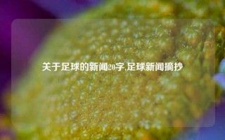 关于足球的新闻20字,足球新闻摘抄