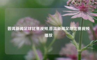 普洱新闻足球比赛视频,普洱新闻足球比赛视频播放