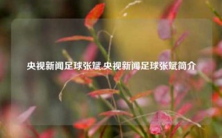 央视新闻足球张斌,央视新闻足球张斌简介