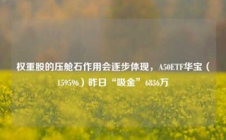 权重股的压舱石作用会逐步体现，A50ETF华宝（159596）昨日“吸金”6836万