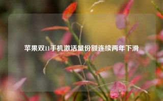 苹果双11手机激活量份额连续两年下滑