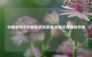 中国足球发款最新消息新闻,中国足球最新政策