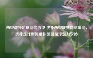 西甲虎扑足球新闻西甲 虎扑西甲联赛精彩瞬间，虎扑足球新闻带你领略足球魅力李沁