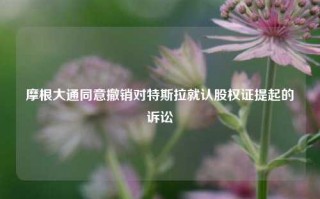 摩根大通同意撤销对特斯拉就认股权证提起的诉讼