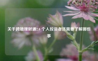 关于跨境理财通2.0 个人投资者还需要了解哪些事