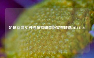 足球新闻实时推荐特朗普版宣布胜选2024.11.24