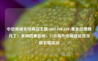 中信保诚全球商品主题(QDII-FOF-LOF)基金经理顾凡丁：多种因素影响，12月海外市场或延续当前窄幅波动