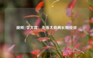 视频|李大霄：先练太极再长期投资