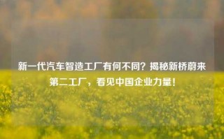 新一代汽车智造工厂有何不同？揭秘新桥蔚来第二工厂，看见中国企业力量！