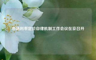 市场利率定价自律机制工作会议在京召开