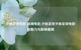 少林足球电影 新闻电影,少林足球少林足球电影的魅力与影响霜降