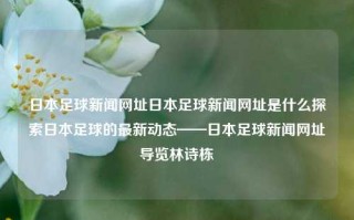 日本足球新闻网址日本足球新闻网址是什么探索日本足球的最新动态——日本足球新闻网址导览林诗栋