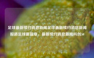 足球最新续约消息新闻足球最新续约消息新闻报道足球新篇章，最新续约消息新闻科创50