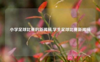 小学足球比赛的新闻稿,学生足球比赛新闻稿