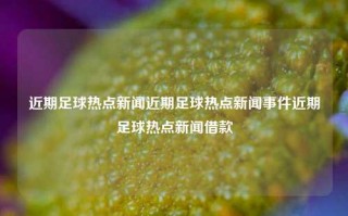 近期足球热点新闻近期足球热点新闻事件近期足球热点新闻借款