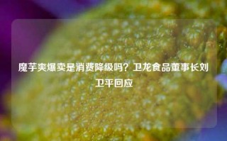 魔芋爽爆卖是消费降级吗？卫龙食品董事长刘卫平回应