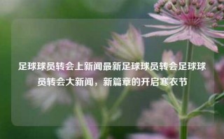 足球球员转会上新闻最新足球球员转会足球球员转会大新闻，新篇章的开启寒衣节