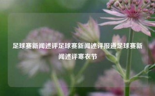 足球赛新闻述评足球赛新闻述评报道足球赛新闻述评寒衣节