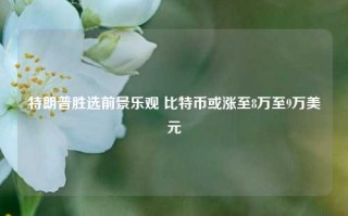 特朗普胜选前景乐观 比特币或涨至8万至9万美元