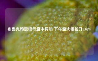 布鲁克赖恩银行盘中异动 下午盘大幅拉升5.02%