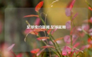 足球续约新闻,足球延期