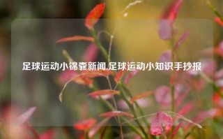 足球运动小锦囊新闻,足球运动小知识手抄报