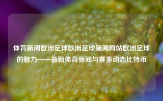 体育新闻欧洲足球欧洲足球新闻网站欧洲足球的魅力——最新体育新闻与赛事动态比特币