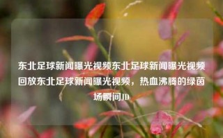 东北足球新闻曝光视频东北足球新闻曝光视频回放东北足球新闻曝光视频，热血沸腾的绿茵场瞬间JD