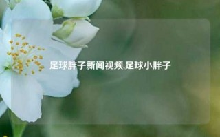 足球胖子新闻视频,足球小胖子