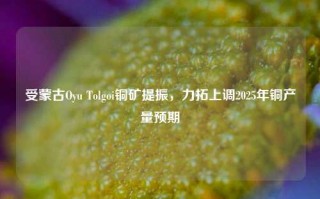 受蒙古Oyu Tolgoi铜矿提振，力拓上调2025年铜产量预期