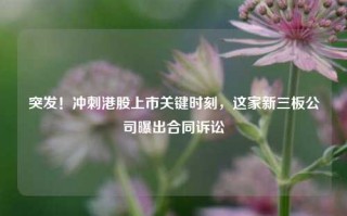 突发！冲刺港股上市关键时刻，这家新三板公司曝出合同诉讼