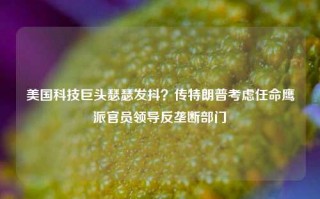 美国科技巨头瑟瑟发抖？传特朗普考虑任命鹰派官员领导反垄断部门