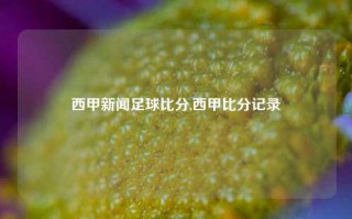 西甲新闻足球比分,西甲比分记录