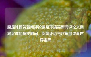 踢足球搞笑新闻评论踢足球搞笑新闻评论文案踢足球的搞笑瞬间，新闻评论与欢乐的体育世界霜降