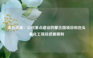 金石资源：公司重点建设的蒙古国项目和包头氟化工项目进展顺利