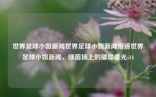 世界足球小姐新闻世界足球小姐新闻报道世界足球小姐新闻，绿茵场上的璀璨星光s14