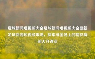 足球新闻短视频大全足球新闻短视频大全最新足球新闻短视频集锦，探索绿茵场上的精彩瞬间天齐锂业