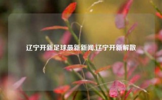 辽宁开新足球最新新闻,辽宁开新解散