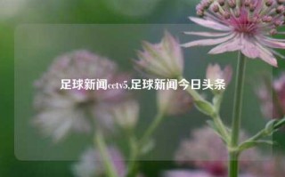 足球新闻cctv5,足球新闻今日头条