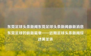 东莞足球头条新闻东莞足球头条新闻最新消息东莞足球的崭新篇章——近期足球头条新闻综述黄圣依