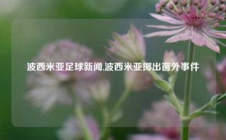 波西米亚足球新闻,波西米亚掷出窗外事件